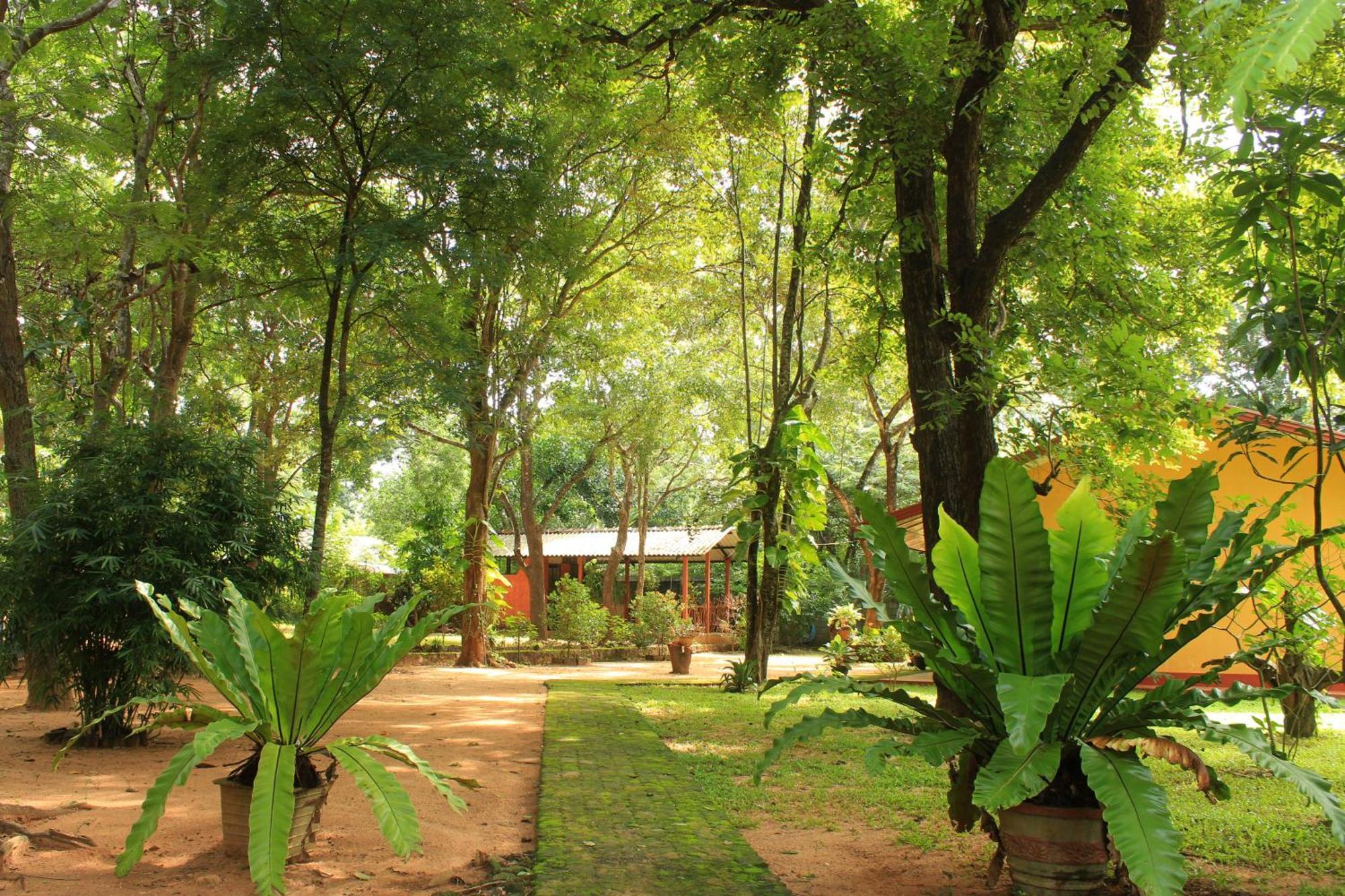 Gimhani Guest House Habarana Exterior foto