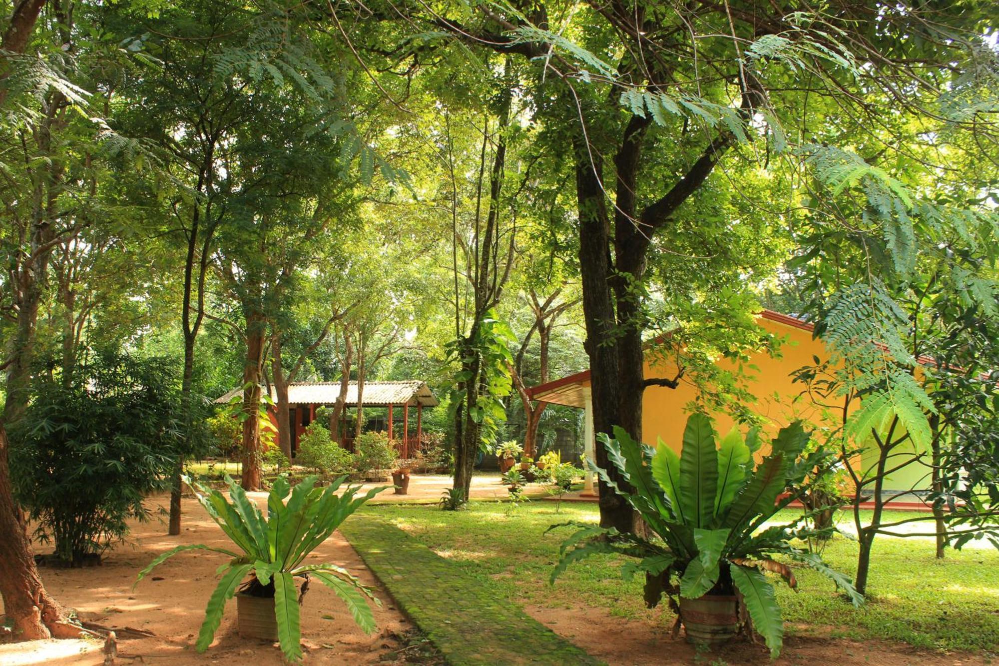 Gimhani Guest House Habarana Exterior foto