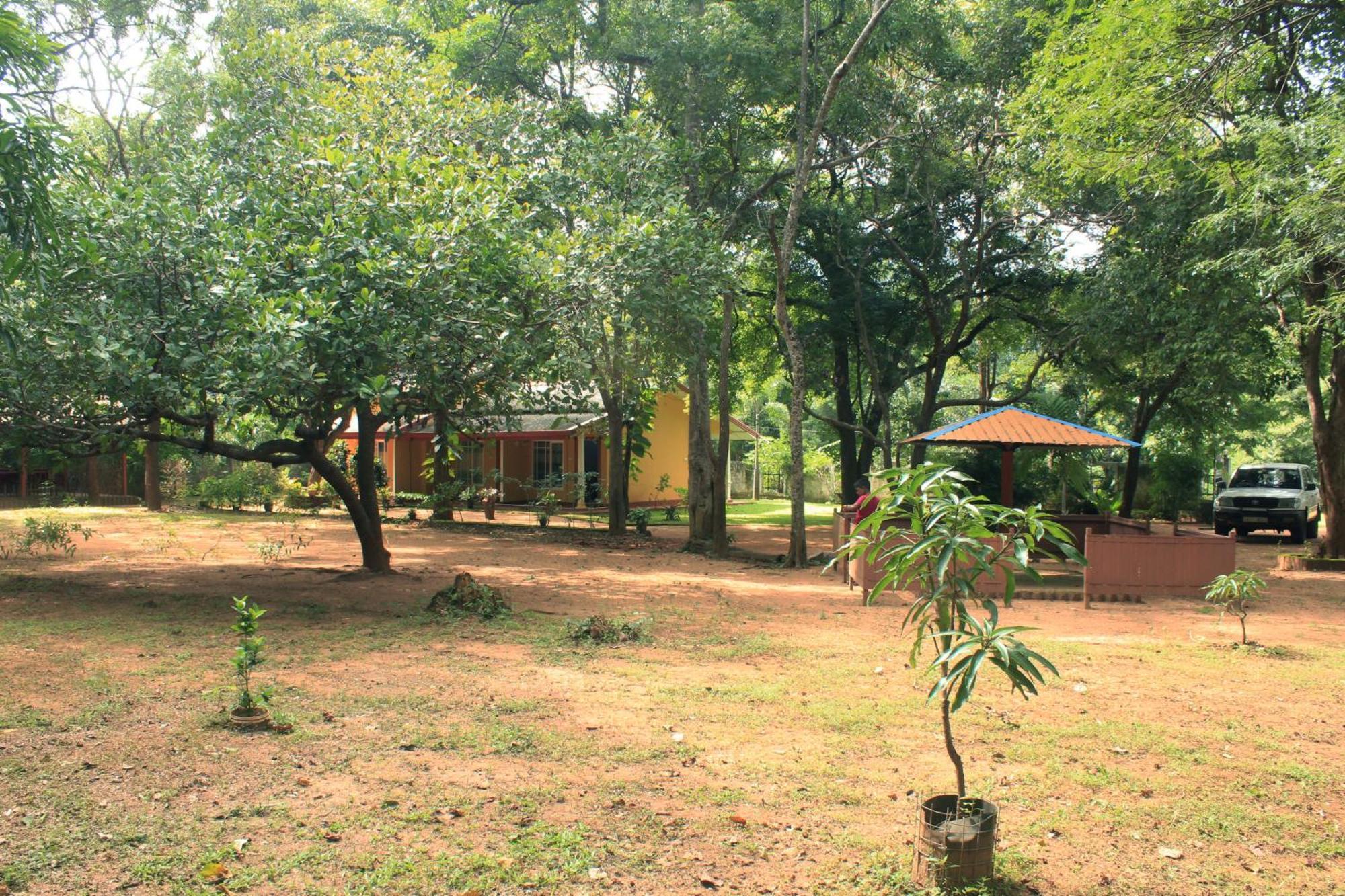 Gimhani Guest House Habarana Exterior foto